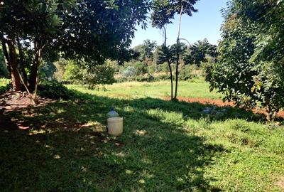 1.5 ac Land in Runda