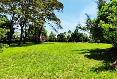 Residential Land at Rhino Park Road