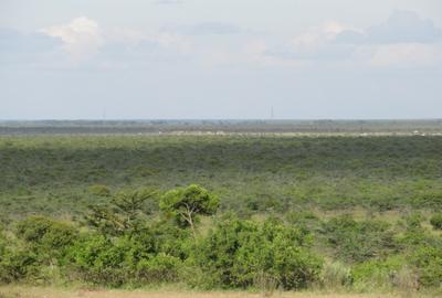 563 ac Land at Mutara