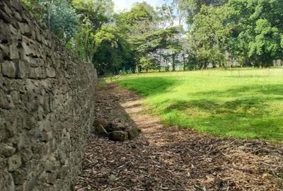1 ac Land in Karen - 3