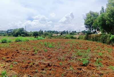 1,000 m² Residential Land at Gikambura