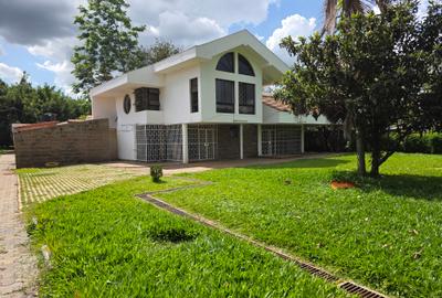 Commercial Property with Backup Generator in Lavington
