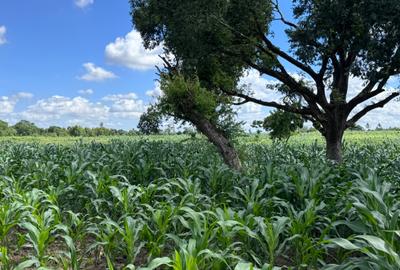 464 m² Land at Mavueni - 3