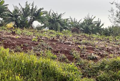 Land at Tigoni