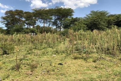 139 ac Land in Naivasha