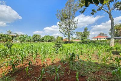 Residential Land in Runda - 2
