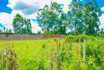 0.1 ha Commercial Land at Sigona