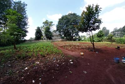 Residential Land at Kirawa Road