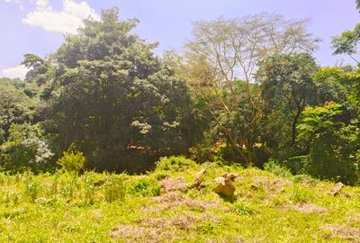 Land at Riverside