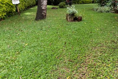 5 Bed House with En Suite at Kitisuru
