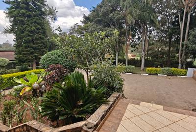 Commercial Property with Parking in Karen - 2