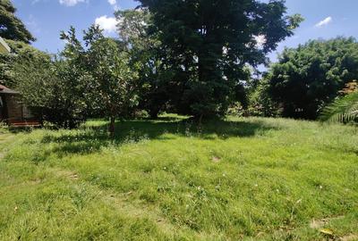 0.85 ac Land in Lavington