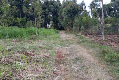 Residential Land in Kikuyu Town - 3