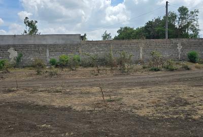 0.125 ac Commercial Land at Kamakis - 4