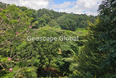 Furnished 2 Bed Apartment with En Suite in Gigiri - 2