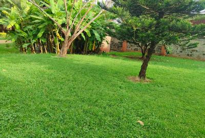 Land at Kilimani