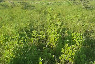 Residential Land at Kag University - 2