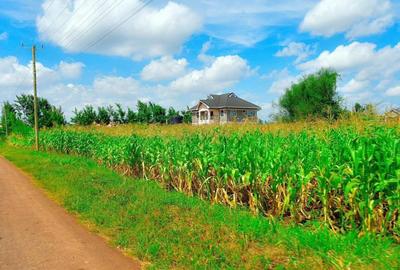 0.05 ha Residential Land at Kangema Farmland Estate
