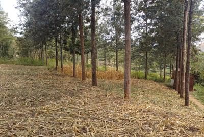 Land in Ongata Rongai - 3