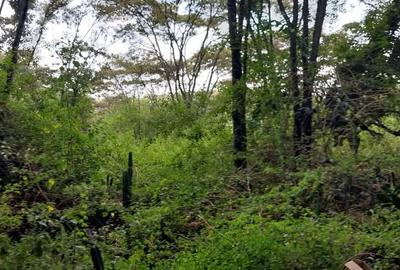 Land at Kephis
