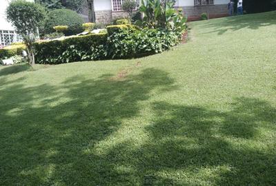 Land at Lavington