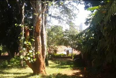 8.3 ac Residential Land in Loresho