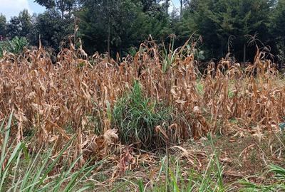 Residential Land at Gathiga - 2