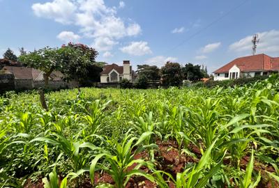 Residential Land in Runda