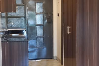 Studio Apartment with En Suite at Naivasha Road - 4