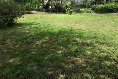 4,047 m² Residential Land in Karen