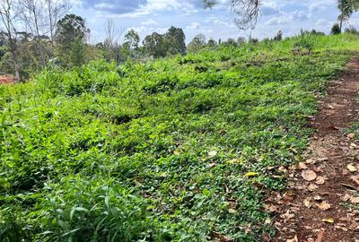 Residential Land at Westlands