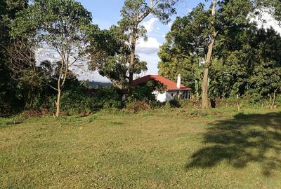 21 ac Land in Tigoni - 2