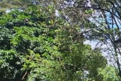 1.49 ac Land at Rhapta Road - 2