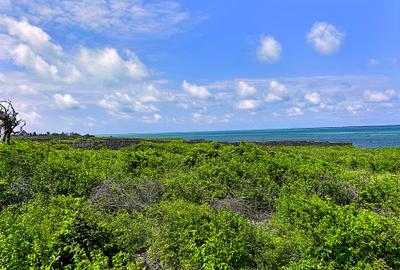 2,026 m² Land at Watamu Jacaranda - 2