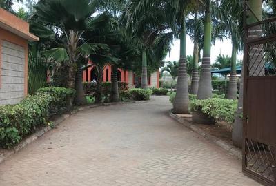 3 Bed House with Swimming Pool at Bofa Road - 2