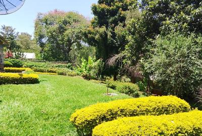 0.5 ha Commercial Property with Parking at Peponi Road - 2