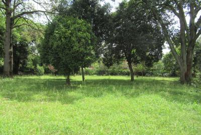 Land at Koitobos Rd