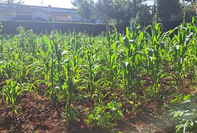 0.4 ac Land at Ridgeways Country Homes - 4