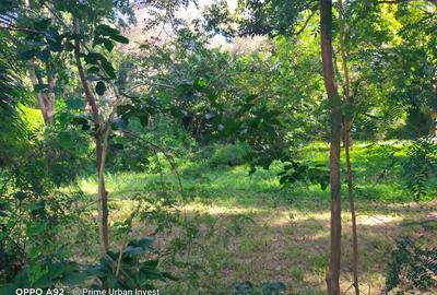 Land at Aloo Drive Mtwapa Creek - 4
