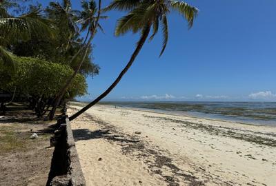 3.9 ac Land at Kikambala Beach - 2