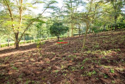 0.809371 ha Residential Land at Matasia - 3