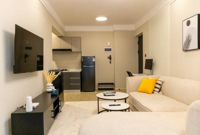 Furnished 1 Bed Apartment with Backup Generator in Lavington - 3
