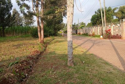 Land in Runda - 4