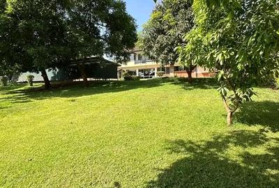 Commercial Property with Backup Generator at Lavington Green - 2