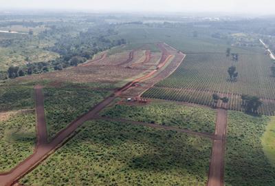 0.125 ac Residential Land in Juja - 4
