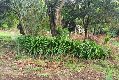 1.2 ac Land at Old Runda - 3