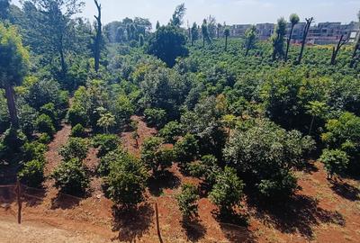 30 ac Land in Kiambu Road
