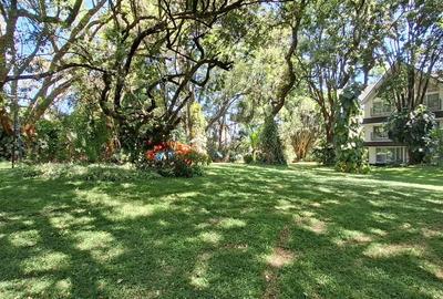 Furnished 2 Bed Apartment with En Suite in Gigiri - 2