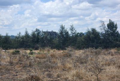 0.125 ac Land at Lamuria