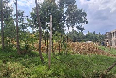 0.25 ac Land in Kamangu - 2